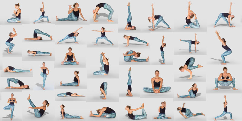 Hatha Yoga Poses Chart 60 Common Yoga Poses And Their Names - A Reference  Guide To Yoga Asanas Postures 8.5 X 11 Full-Color 4-Panel Pamphlet,  UNKNOWN, 9781988245638