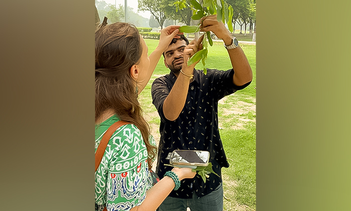 Herbal plant identification training session